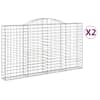 vidaXL kaarekujulised gabioonkorvid 2 tk, 300x30x160/180 cm, raud