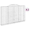 vidaXL kaarekujulised gabioonkorvid 2 tk, 300x30x180/200 cm, raud