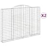 vidaXL kaarekujulised gabioonkorvid 2 tk, 300x30x200/220 cm, raud
