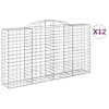 vidaXL kaarekujulised gabioonkorvid 12 tk, 300x50x160/180 cm, raud