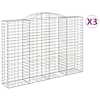 vidaXL kaarekujulised gabioonkorvid 3 tk, 300x50x200/220 cm, raud