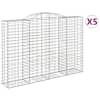 vidaXL kaarekujulised gabioonkorvid 5 tk, 300x50x200/220 cm, raud