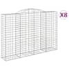 vidaXL kaarekujulised gabioonkorvid 8 tk, 300x50x200/220 cm, raud