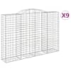 vidaXL kaarekujulised gabioonkorvid 9 tk, 300x50x200/220 cm, raud