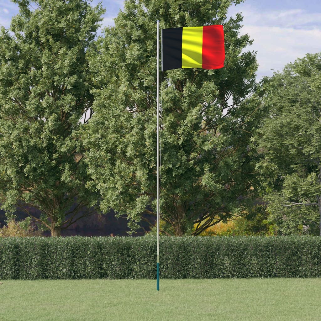Belgische Flagge mit Mast 6,23 m Aluminium kaufen