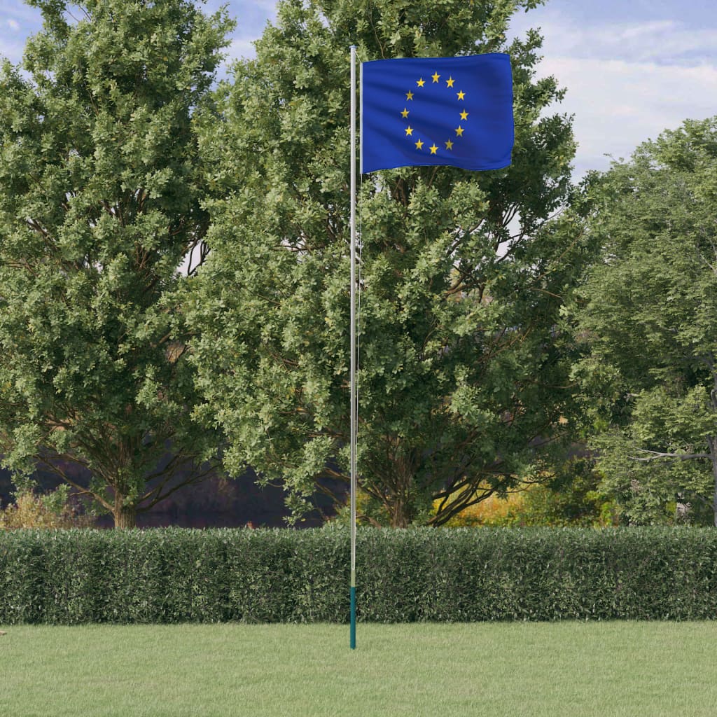 vidaXL Steag Europei și stâlp din aluminiu, 6,23 m