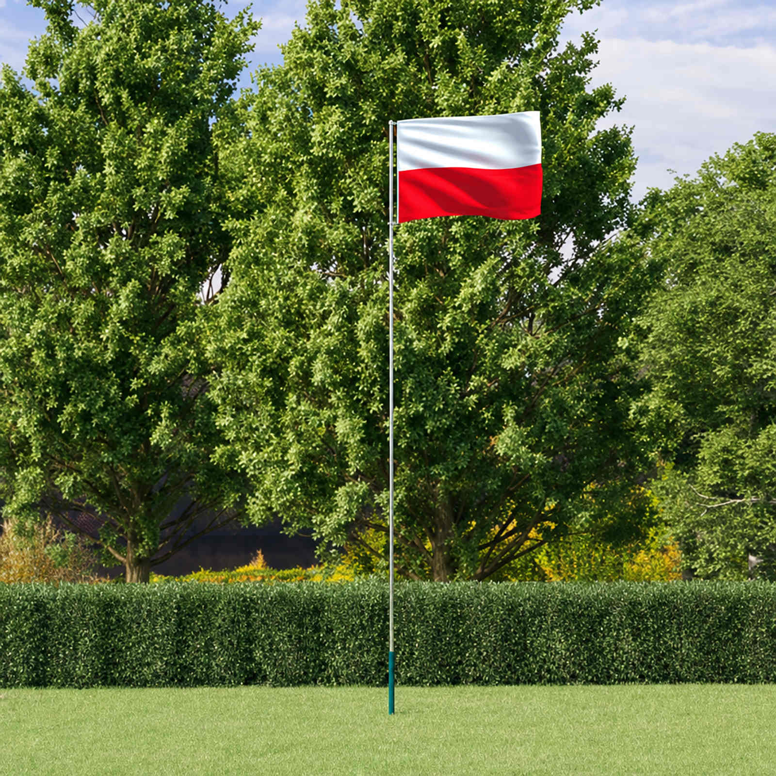 vidaXL Polen flag og flagstang 5,5 m aluminium