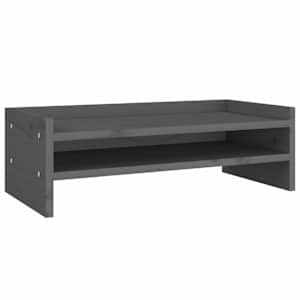vidaXL monitorialus, hall, 50 x 24 x 16 cm, m&auml;nnipuit