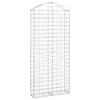 vidaXL kaarekujuline gabioonkorv, 100x30x220/240 cm, tsingitud raud