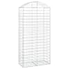 vidaXL kaarekujuline gabioonkorv, 100x50x200/220 cm, tsingitud raud