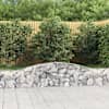 Toote pisipilt  2 / 5