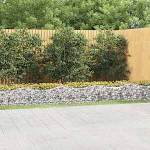 Klenutý gabion vyvýšený záhon 800x100x50 cm pozinkované železo - obrázek 1