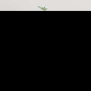 Stenska TV omarica visok sijaj bela 40x34,5x80 cm