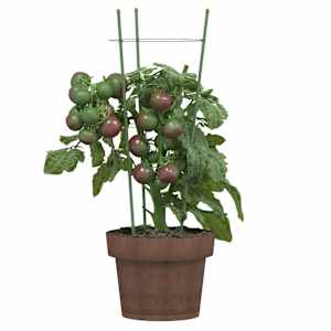 Opory pro zahradní rostliny se 3 kroužky 5 ks zelené 45 cm ocel - obrázek 3
