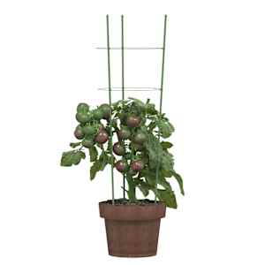 Opory pro zahradní rostliny se 3 kroužky 5 ks zelené 60 cm ocel - obrázek 3