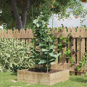 Opore za vrtne rastline s 4 obroči 5 kosov zelene 90 cm jeklo