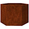 vidaXL taimekast, rooste, 60x60x45 cm, Corten teras