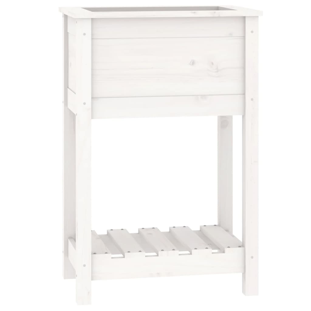 vidaXL Truhlík s policí bílý 54 x 34,5 x 81 cm masivní borové dřevo