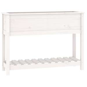 Truhlík s policí bílý 111,5 x 34,5 x 81 cm masivní borové dřevo - obrázek 2