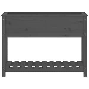Truhlík s policí šedý 111,5 x 34,5 x 81 cm masivní borové dřevo - obrázek 5