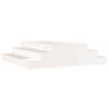 White_pine