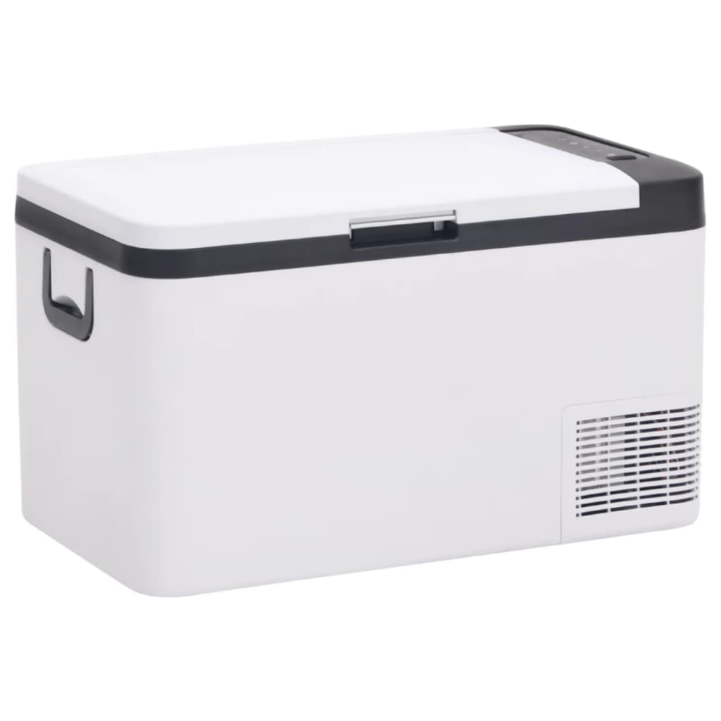 Kühlbox mit Tragegriff Schwarz und Weiß 18L PP & PE kaufen