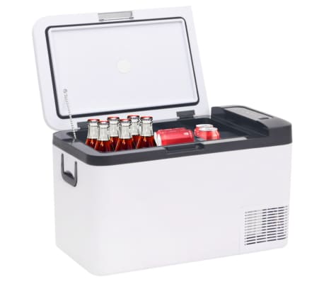 vidaXL Cool Box with Handle Black and White 18 L PP & PE