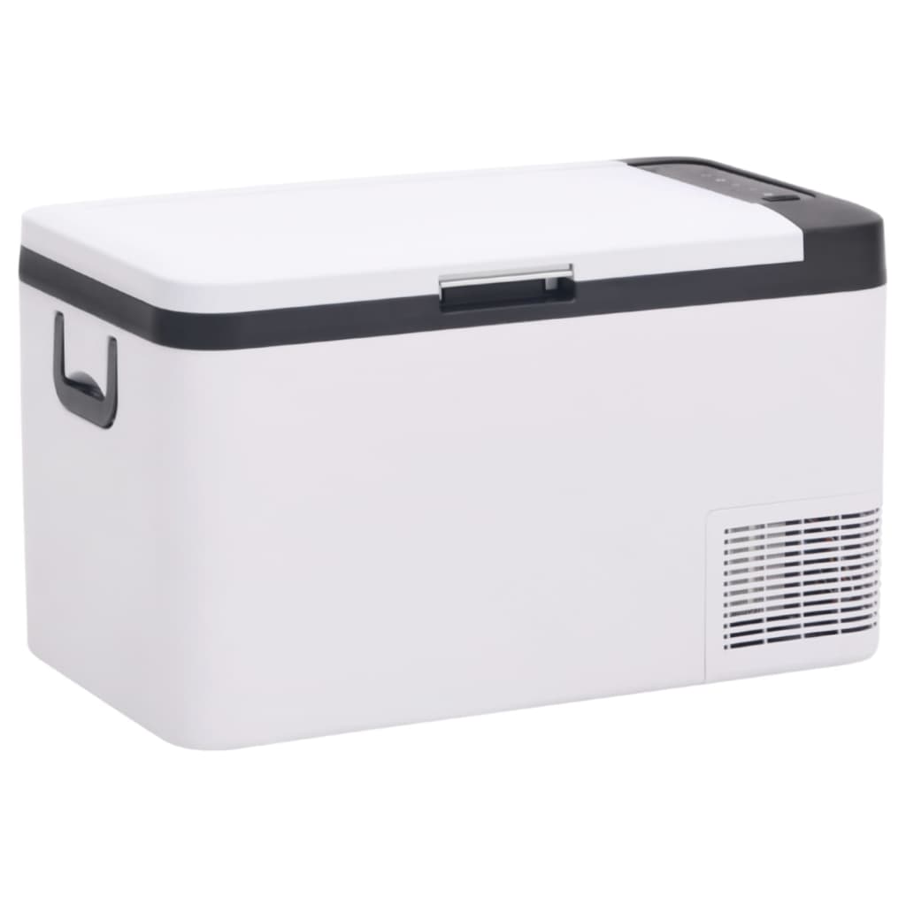 Kühlbox mit Tragegriff Schwarz/Weiß 25L PP & PE kaufen