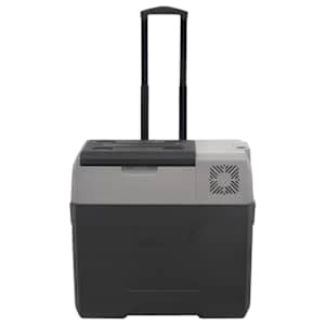 Chladicí box s kolečky a rukojetí černý a šedý 30 l PP - obrázek 3