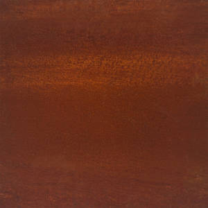 Zahradní nástěnná dekorace 105 x 55 cm cortenová ocel List - obrázek 8