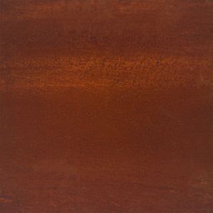 vidaXL taimekast, 100 x 100 x 18,5 cm, Corten-teras