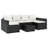 Black_and_cream