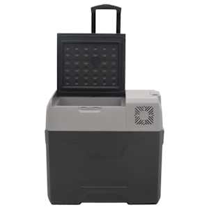 Chladicí box s kolečky a adaptérem černý a šedý 30 l PP - obrázek 6