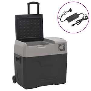 vidaXL rataste ja adapteriga jahutuskast, must ja hall, 50 l, PP