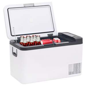 vidaXL Cool Box with Handle Black and White 18 L PP & PE