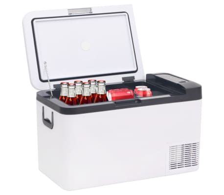 vidaXL Cool Box with Handle and Adapter Black and White 18 L PP & PE