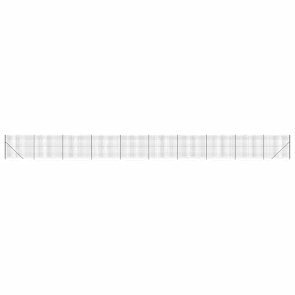 vidaXL traataed &auml;&auml;rikuga, antratsiithall, 2,2x25 m