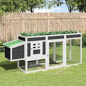 Kokošnjak siv 204x50x84 cm trdna borovina