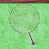 Toote pisipilt  6 / 7