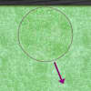 Toote pisipilt  7 / 8
