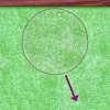 Toote pisipilt  7 / 8