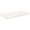 vidaXL kirjutuslaua plaat, valge, 100 x 60 x 2,5 cm, m&auml;nnipuit