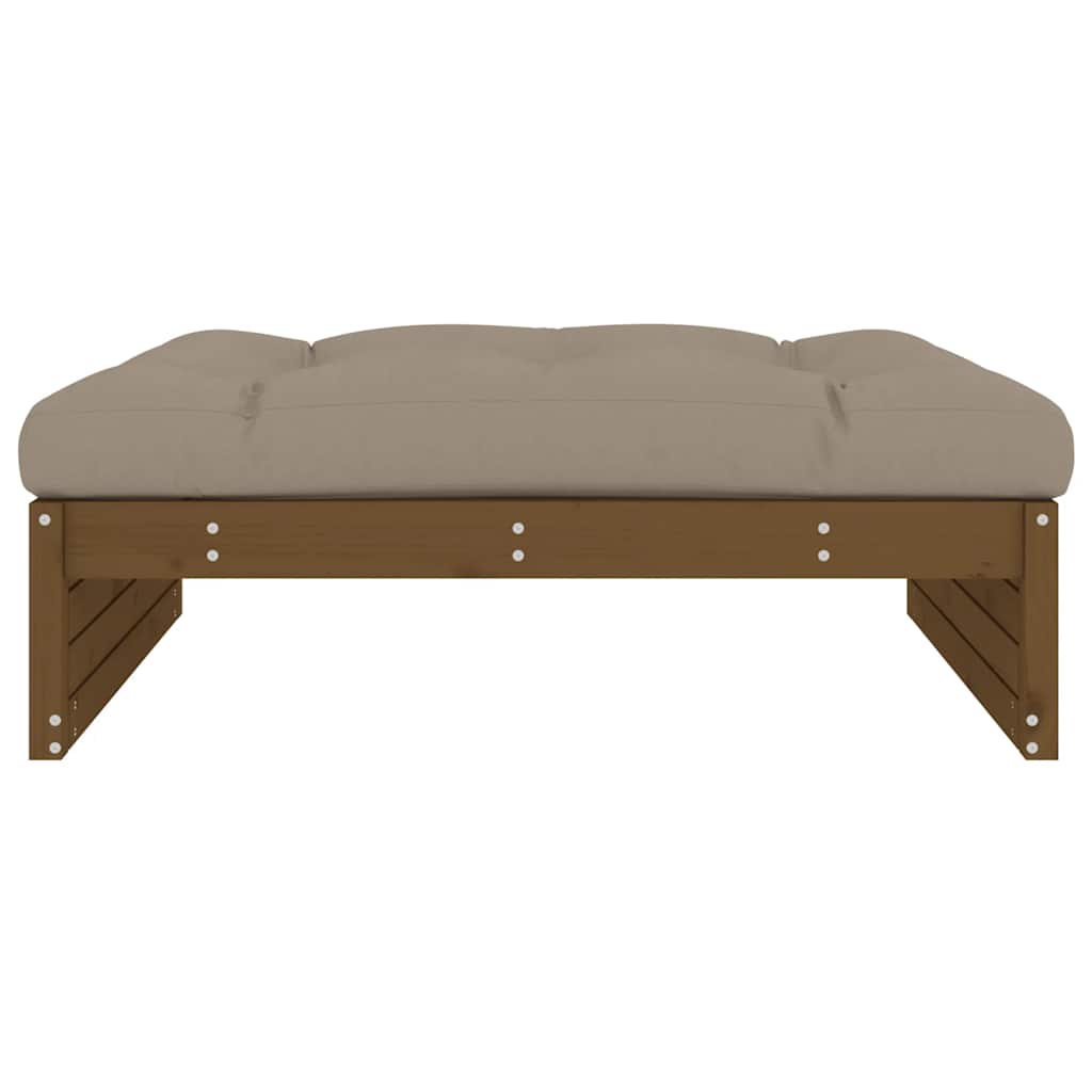 vidaXL Ulkorahi hunajanruskea 120x80 cm täysi mänty