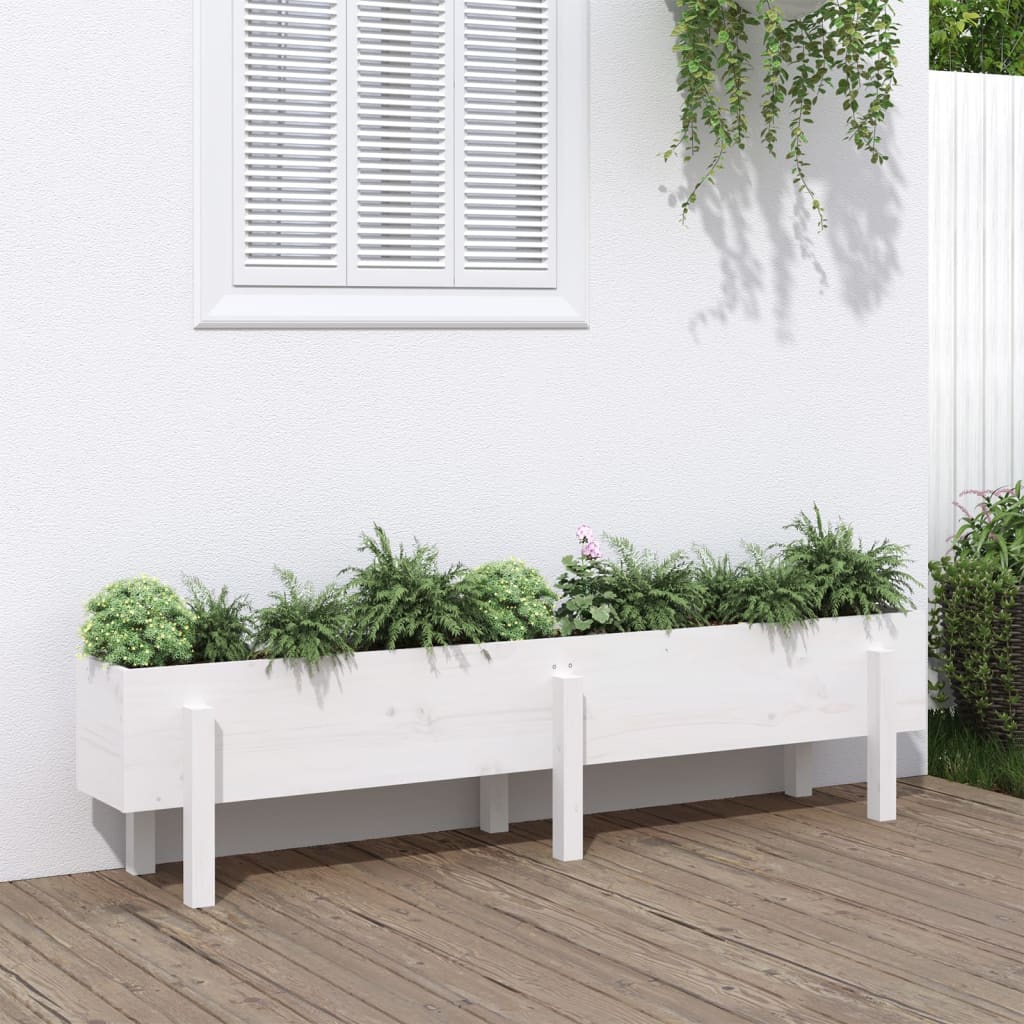 vidaXL Strat înălțat de grădină, alb, 160x30x38 cm, lemn masiv de pin