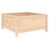 Natural_pine