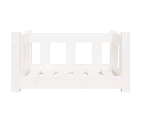 vidaXL Cama para perros madera maciza de pino blanca 55,5x45,5x28 cm