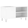 vidaXL plaadikapp, valge, 85 x 38 x 48 cm, tehispuit