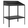 vidaXL taimealus, antratsiithall, 75,5x54,5x100 cm, tsingitud teras
