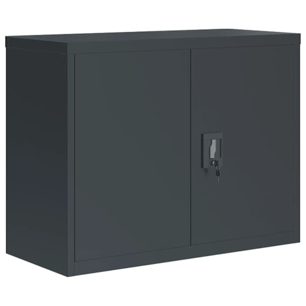 vidaXL dokumendikapp, antratsiithall, 90 x 40 x 70 cm, teras