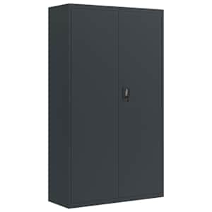 vidaXL dokumendikapp, antratsiithall, 105 x 40 x 180 cm, teras